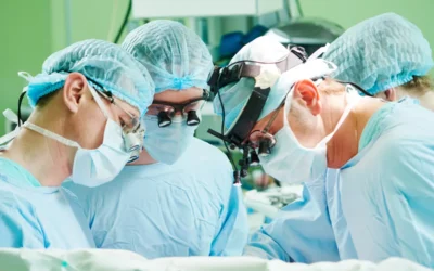 Transplantation and the humanisation of medicine New standards in healthcare